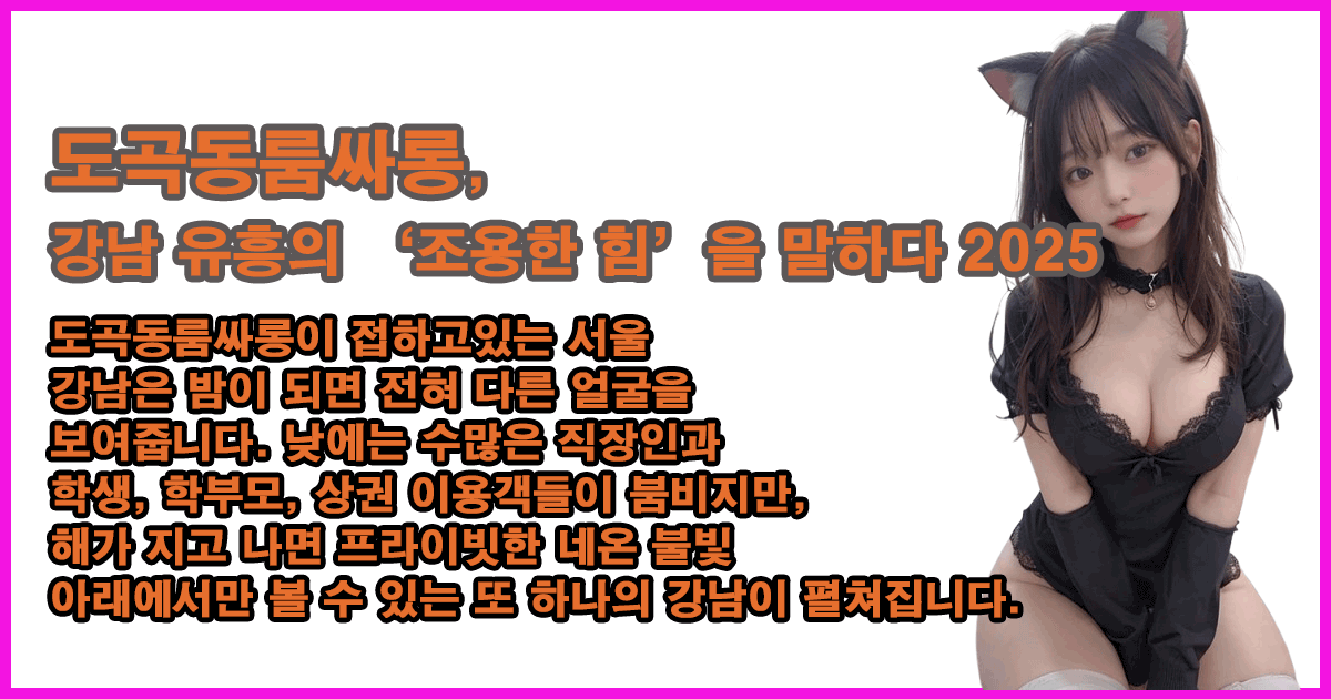 도곡동룸싸롱-특성